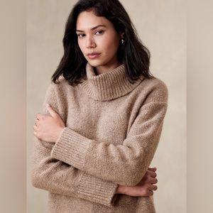 Oversized Turtleneck Sweater By Banana Republic Size XL NWT ❄️🥀